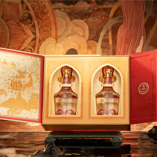 【赠4枚含金纪念币+原厂礼袋】五粮液股份出品·丝路花雨丨敦煌限定纪念酒，三家博物馆馆藏，500ml*2礼盒装，防伪码可验 商品图11
