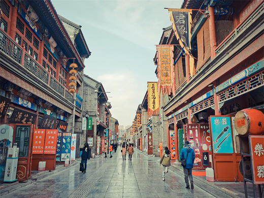 【天津海鸥1日】西伯利亚海鸥来袭-滨海看海鸥-打卡古文化街-意式风情区-五大道 商品图1