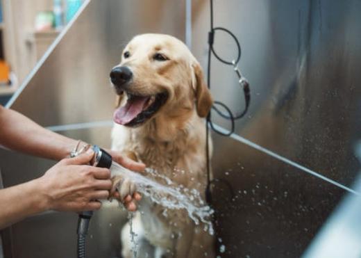犬儿洁浴 商品图3