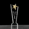 奖杯018款 商品缩略图0