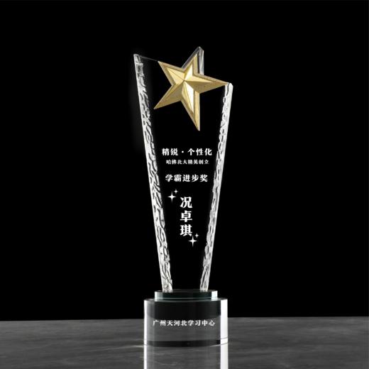 奖杯018款 商品图0