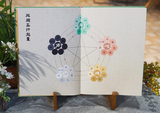 2025元气养生日记本 赠2枚书签 藏于书页的岐黄之术 商品图2