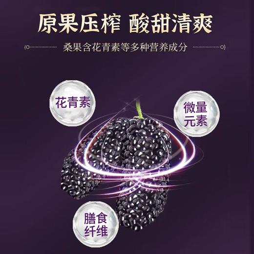 宝桑园100%桑果汁245ml 商品图1