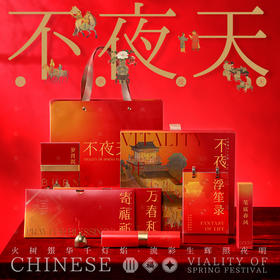 2025新春礼盒 不夜天文创礼盒