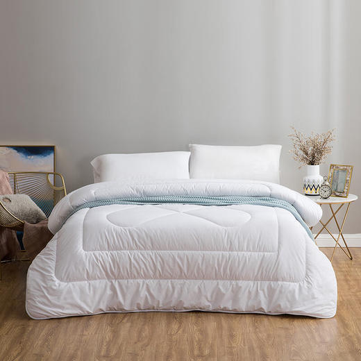 罗莱家纺 LUOLAI 羊毛被保暖被子澳洲进口羊毛被被芯被子 沁馨澳洲羊毛抗菌被 200*230cm LS 商品图0