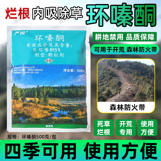 环嗪酮严控除草剂烂根粉剂环嗪酮杂草灌木渗透力强除杂灌专用开荒 商品图2