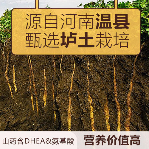 怀府街铁棍山药粉｜麸炒口感细腻 金罐装升级版 大容量 600g早餐不添加才美味（喜悦分享） 商品图1