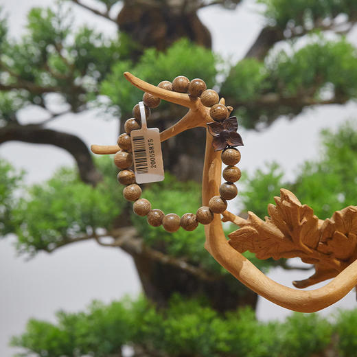 【沉香博物馆】青洲·沉香专场，中国沉香文化博物馆旗下品牌，珍贵沉香好料打造【G】 商品图3