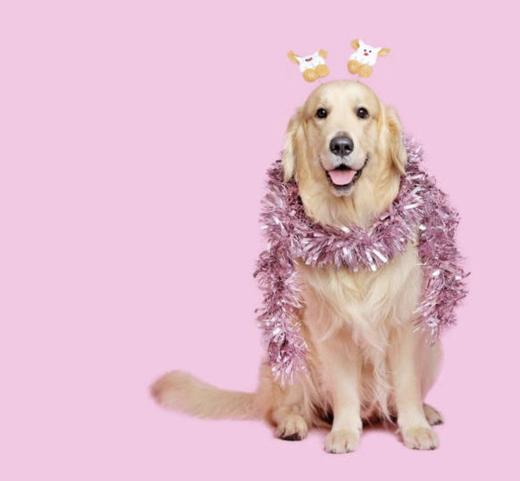 爱犬美浴 商品图13