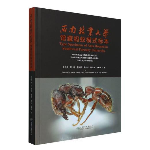 西南林业大学馆藏蚂蚁模式标本 &2732 商品图0