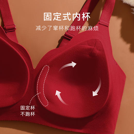 【提拉聚拢】秋冬磨毛暖肤内衣女上托聚拢有型收副乳无钢圈文胸罩云梦月歌 商品图4