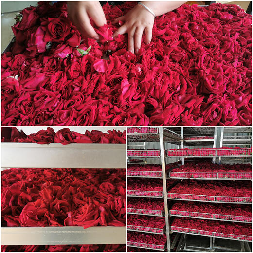 云南【冻干墨红玫瑰】花朵整洁饱满，自然花香，高花青素，山地种植无污染！ 商品图7