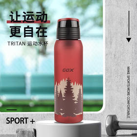 GOX  运动水果杯  大容量水杯1000ml