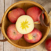 【京东包邮】新疆阿克苏冰糖心苹果 4.5斤彩箱装 商品缩略图2
