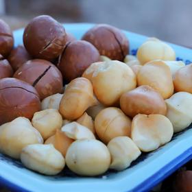 生态夏威夷干果 | 口感细腻、颗粒饱满 | 合作生产 | *Ecological macadamia
