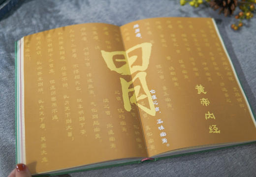 2025元气养生日记本 赠2枚书签 藏于书页的岐黄之术 商品图6