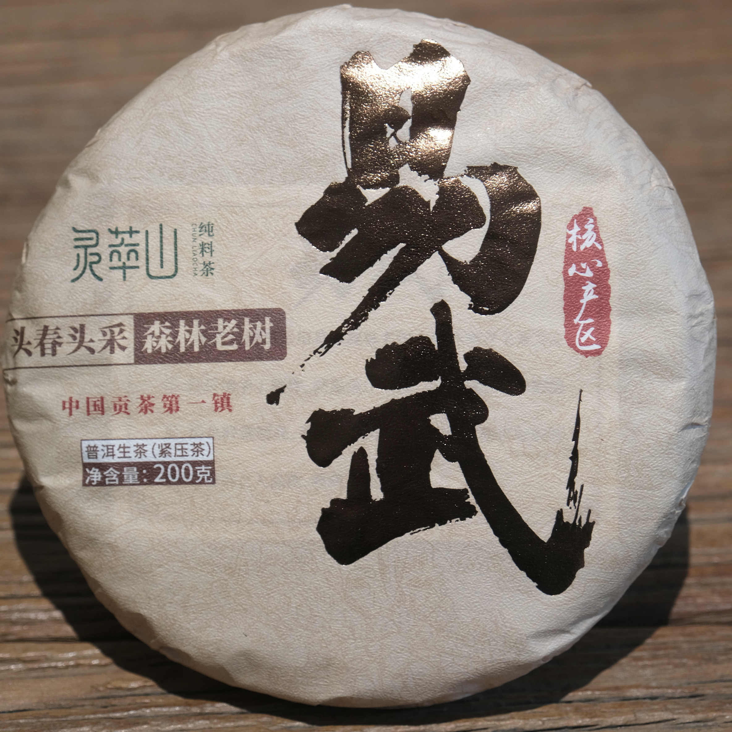 易武森林茶 2024年头采春茶