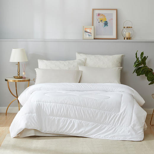 罗莱家纺 LUOLAI 羊毛被保暖被子澳洲进口羊毛被被芯被子 沁暖澳洲羊毛抗菌被 200*230cm LS 商品图1