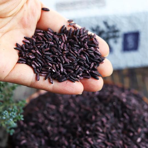 【云南墨江紫糯米】粒大饱满，口感软糯，一年一季一熟，富含花青素、蛋白质、氨基酸、叶酸！ 商品图1