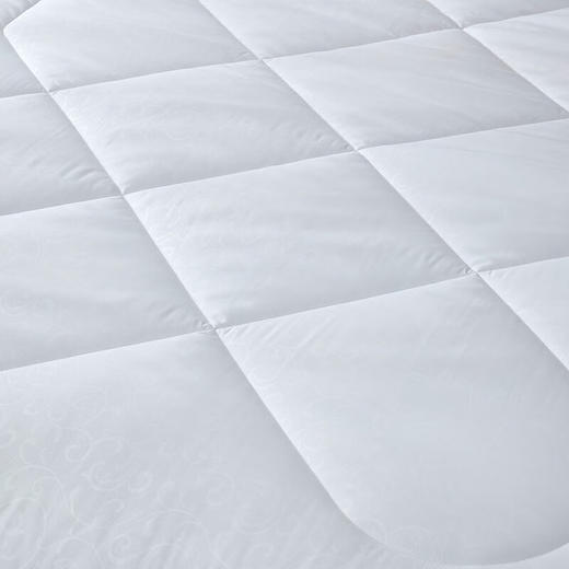 罗莱家纺 LUOLAI 羊毛被保暖被子澳洲进口羊毛被被芯被子 沁暖澳洲羊毛抗菌被 200*230cm LS 商品图2