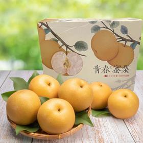 有机新高梨(整箱) Organic Shinko Pears(Full container)