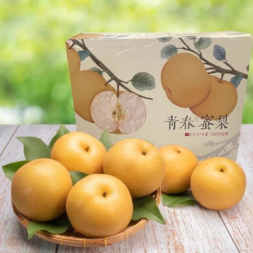 有机新高梨(整箱) Organic Shinko Pears(Full container) 商品图0