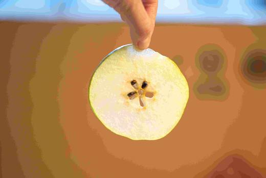 有机雨露香梨 商品图4