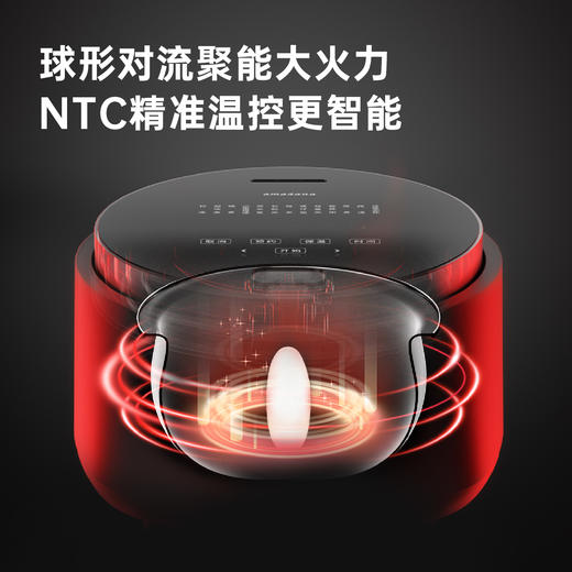 日本amadana艾曼达多功能低淀粉电饭煲R2 商品图3
