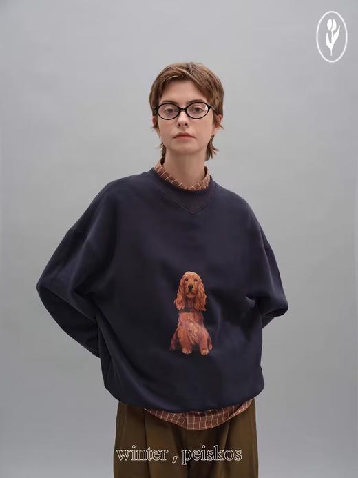 shyshystill/shy202408053/棕色自然卷小狗趣味图案印花宽松百搭卫衣 商品图1