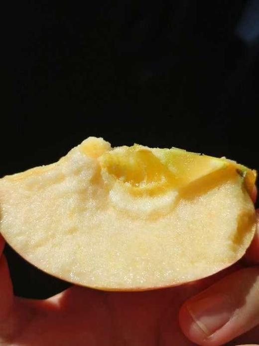 立君满满苹果 商品图6