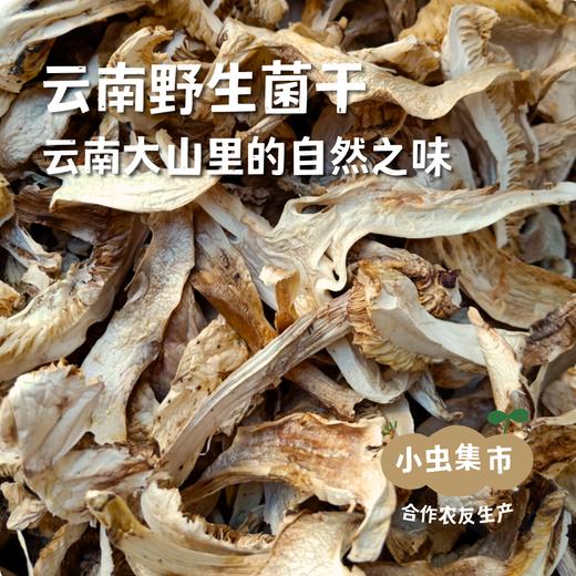 云南野生菌干 | 合作农友生产，产自云南楚雄永仁，生产者：康丽 *【公平贸易农人定价】 商品图0