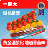 串樱桃番茄 | 优选品种 现摘现发 连枝带叶 成串更新鲜 番茄味鲜明 汁水饱满 低GI高维C 商品缩略图3