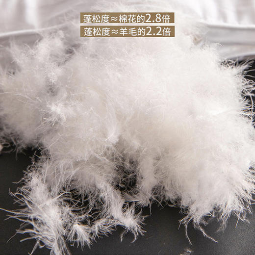恒源祥白鹅绒被， 鹅绒蓬松柔软，睡觉时不会压身，但是保暖性极佳【G】 商品图2