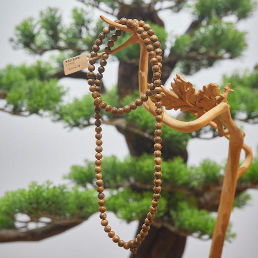 【沉香博物馆】青洲·沉香专场，中国沉香文化博物馆旗下品牌，珍贵沉香好料打造【G】 商品图1