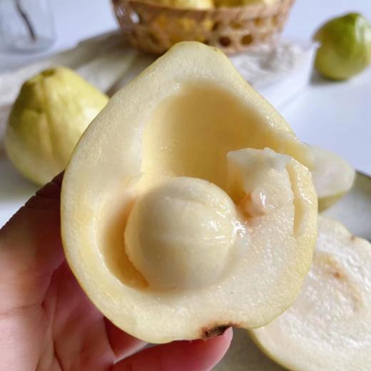 漳州奶油芭乐 口感如奶油 果味浓郁 商品图2