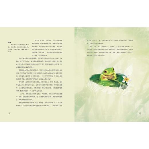 达尔文的小猎犬号航海日记 商品图3