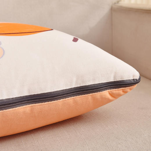 蓝若亭水晶绒多功能抱枕被-顾钱大橘 商品图4