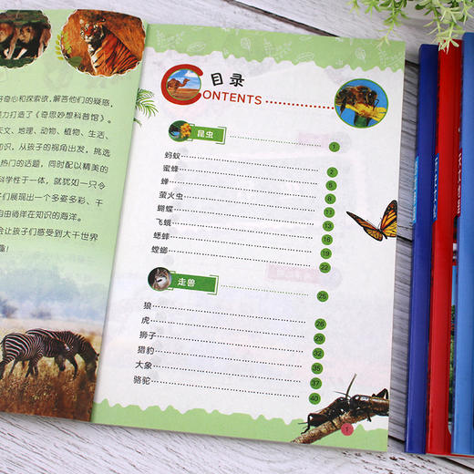 奇思妙想科普馆（全8册）彩图注音版中国少年儿童百科全书 商品图6