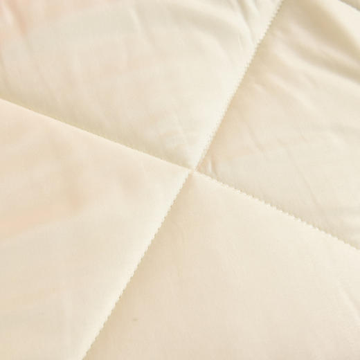 蓝若亭水晶绒多功能抱枕被-顾钱大橘 商品图8