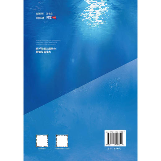 悬浮隧道流固耦合数值模拟技术 商品图1