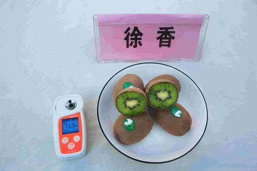 有机猕猴桃 商品图6