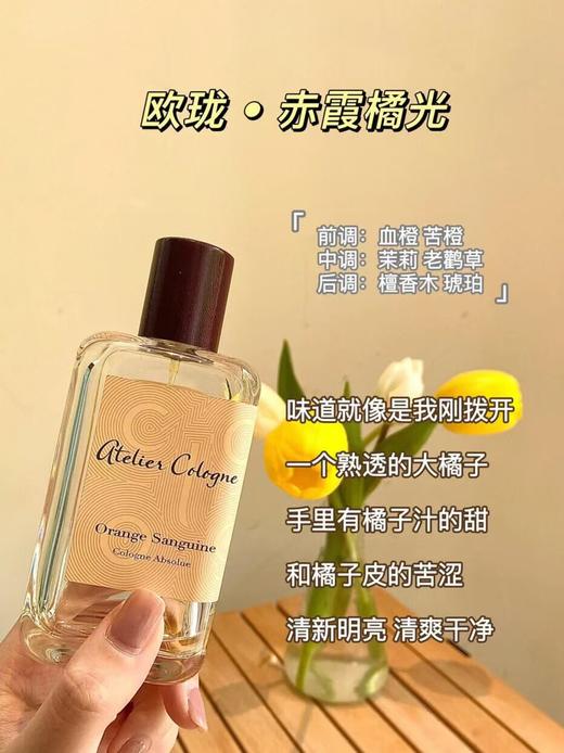 欧珑Orange Sanguine赤霞橘光100ml 欧珑超火的一款的 一股非常澄澈的橙花香 当微风轻佛时 整个人会变得轻盈干净又充满绿意 商品图2