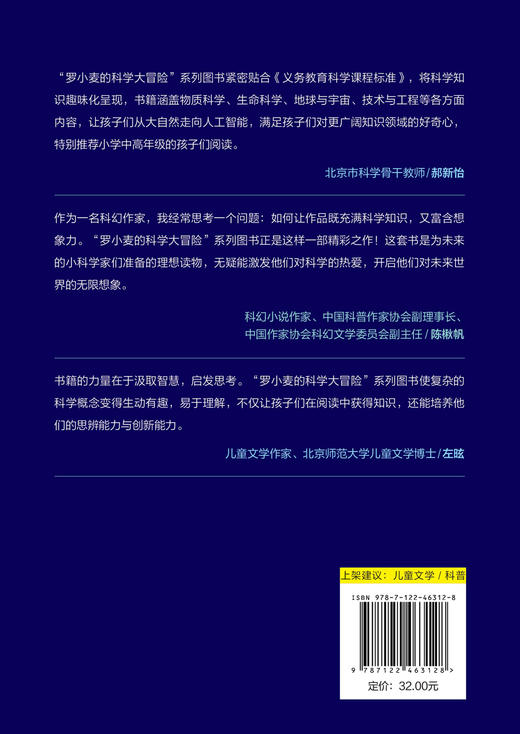 罗小麦的科学大冒险：了不起的工程与人工智能 商品图1