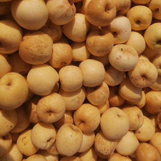 山东【黄金维纳斯苹果（金斑锈果）】拔尖果，脆甜多汁，果香浓郁，口感细腻，自然成熟！ 商品图1