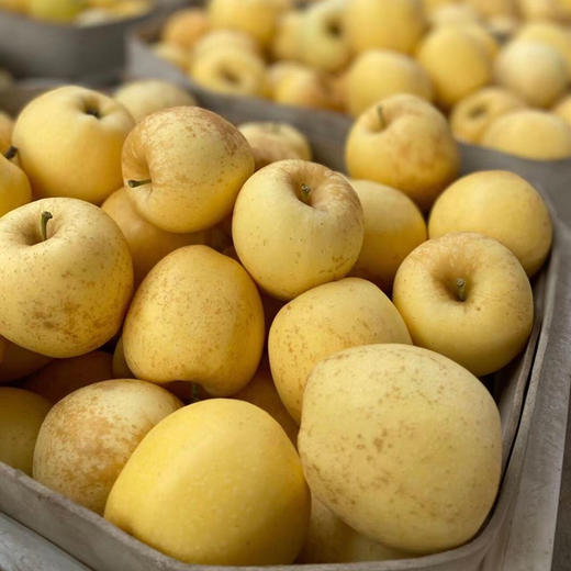 山东【黄金维纳斯苹果（金斑锈果）】拔尖果，脆甜多汁，果香浓郁，口感细腻，自然成熟！ 商品图5