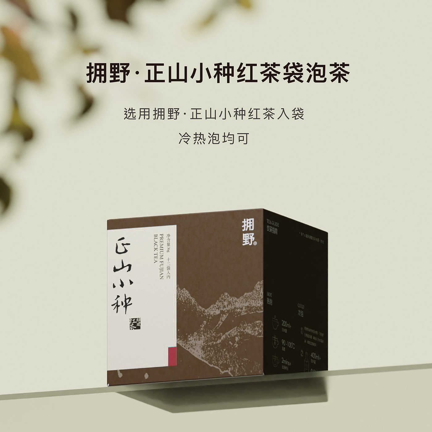 拥野·武夷山正山小种红茶原叶袋泡茶  3gx12袋/盒