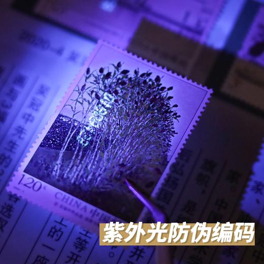 《中国百年巨匠》珍邮票 100枚艺术名家邮票 真品保证 防伪可查 商品图6