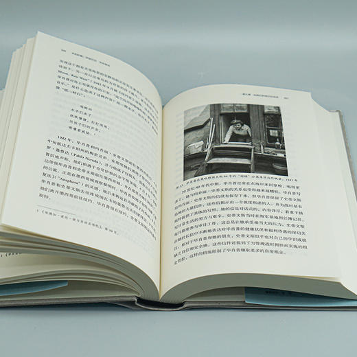 未知的爱：伊丽莎白·毕肖普传 美国桂冠诗人、普利策奖得主毕肖普 商品图6