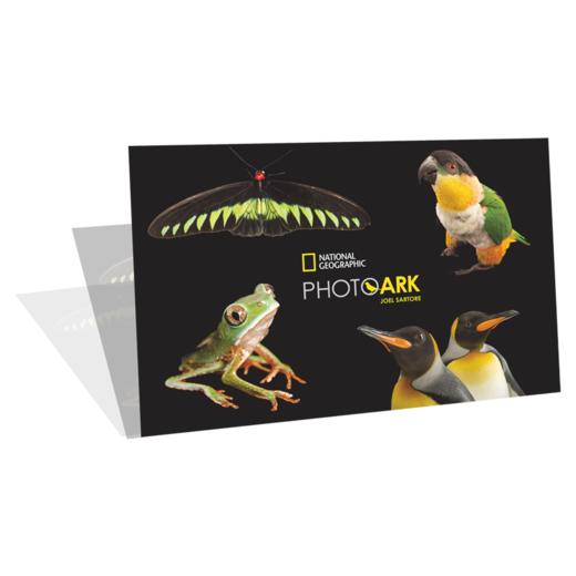 美国国家地理日历——万物珍奇2025 商品图1