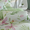 恒源祥Fazeya彩羊全棉四件套-花之恋（米）（被套：200*230cm、床单：230*250cm、枕套：48*74cm*2）【分仓直发，72小时发货，周末节假日不发货】 商品缩略图3